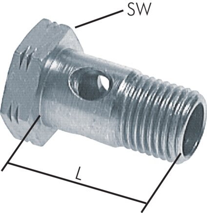 Exemplarische Darstellung: Hohlschraube (1-fach), DIN 7643 A